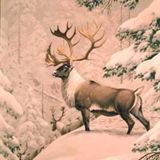 The Weekly Inspiration - The Caribou