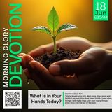 MGD: What Is in Your Hands Today?