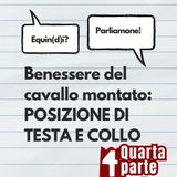 Benessere del cavallo montato: posizione di testa e collo - QUARTA PARTE