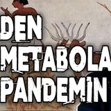 Lars Bern om den metabola pandemin
