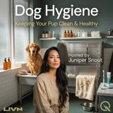 Dog Hygiene - Master the art of keeping your pup fresh with Juniper Snout
