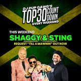 Shaggy Sting with Dj Pup Dawg Podcast