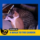 Episode 295: A Walk to the Garden