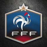 FRANCIA - Analisi sulla nazionale di calcio