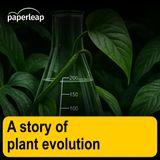 A story of plant evolution