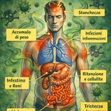 Disintossicazione dell’organismo: come aiutare gli organi emuntori a lavorare meglio