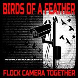 Birds of a Surveillance Feather FLOCK CAMERA Together (July 14, 2026)