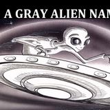 A Gray Alien Named Sen