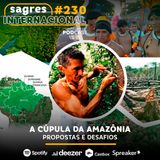 #230 | A Cúpula da Amazônia: propostas e desafios