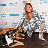 Kate Walsh Actor Umbrella Academy, Grey’s Anatomy, Advocate for Dogs
