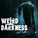 LIVE from Dark History And Horror Con: “ABDUCTED BY BIGFOOT” and More True Freaky Stories! #WeirdDarkness