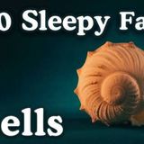 The_Most_Relaxing_Facts_About_Shells_to_Fall_asleep_To___No_Adverts