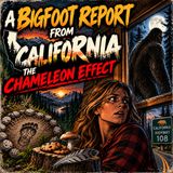 SOMETHING CALLED ME “MOM” FROM THE WOODS | CALIFORNIA BIGFOOT ENCOUNTERS | A CABIN IN THE WOODS