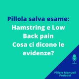 Pillola salva esame: Hamstrings e Low Back Pain, cosa ci dicono le EBM?