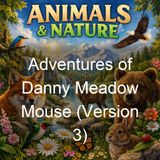 Adventures of Danny Meadow Mouse Version 3 - Thornton W Burgess