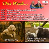 Radio 2SM Breakfast Segment #20 with Kaye Browne