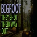 Bigfoot Attack - They Shot Their Way Out