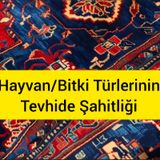 Hayvan ve Bitki Türlerinin Tevhide Şahitliği.mp3
