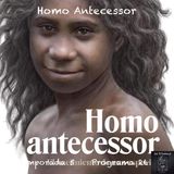 Homo Antecessor