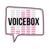 VoiceBox Ep 002: What happened when I spoke about voice tech at Amazon UK and an unplanned guest appearance by Ant McGinley