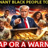 Trump Want Black People To Be Rich With His Plan_ A Trap Or A Warning_