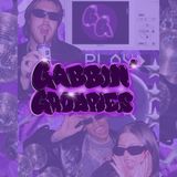 Our Paws Have Never Been More Up - Gabbin' Groupies Pod: Episode 1