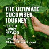 🎧 The Ultimate Cucumber Journey: Seed to Savory Harvest! | Gardening Tips & Allotment Advice Podcast