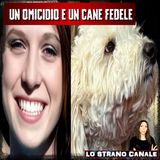 UN OMICIDIO E UN CANE FEDELE - Mandy Rose Raynolds (Lo Strano Canale Podcast)