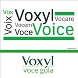 Voxyl & Voice: due parole con molte cose in comune