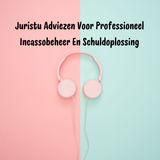 Juristu Adviezen Voor Professioneel Incassobeheer En Schuldoplossing