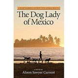 Meet the Dog Lady of Mexico Author Alison Sawyer Current