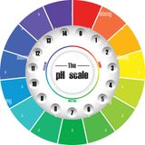 PODCAST SCIENZE ESPERIMENTO PH