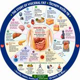 EP- 285|The Hidden Belly Fat Story 🫃🫃| লুকিয়ে থাকা পেটের চর্বির গল্প |wellness podcast