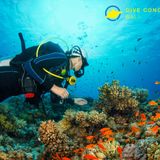 Scuba Diving in Bali Courses and Guided Dive Experiences