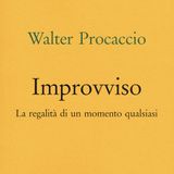 Walter Procaccio "Improvviso"