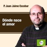 Dónde nace el amor, Padre Juan Jaime Escobar