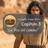 Mateo 3: La Voz que Prepara el Camino