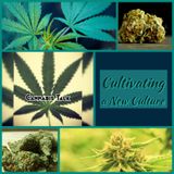 Cannabis Talk - Cultivating a New Culture