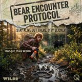 Bear Encounter Protocol - Survive the wilderness with Ranger Theo Wilder