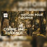 Une voix à 23 h vous emmène vers un rêve inattendu | Histoire pour S’endormir