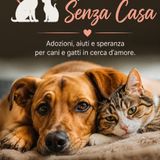 Gli Amici Senza Casa: perché ogni zampa merita una famiglia