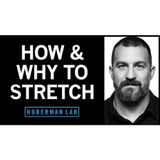 Improve Flexibility with Research-Supported Stretching Protocols
