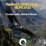 NUESTRO OXÍGENO-¿Qué pasaría si el guardián de nuestras montañas desapareciera?