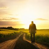THE WAY OF WISDOM (Episode 761 - Preachify Daily Devotional)