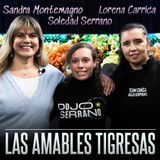 LA MESA DE MAESTRAS 4: "LAS AMABLES TIGRESAS"