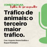 Tráfico de animais: o terceiro maior tráfico.