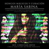 PDM ~ Christian Ortiz ~  María Sabina