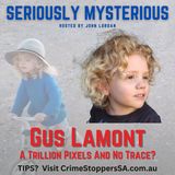 Gus Lamont : A Trillion Pixels and No Trace?