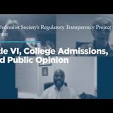 Title VI, College Admissions, and Public Opinion