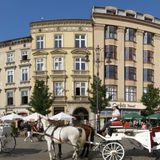 Likwidacja dorożek nie oznacza końca rodzinnych biznesów. Kraków nadal bez zmian.